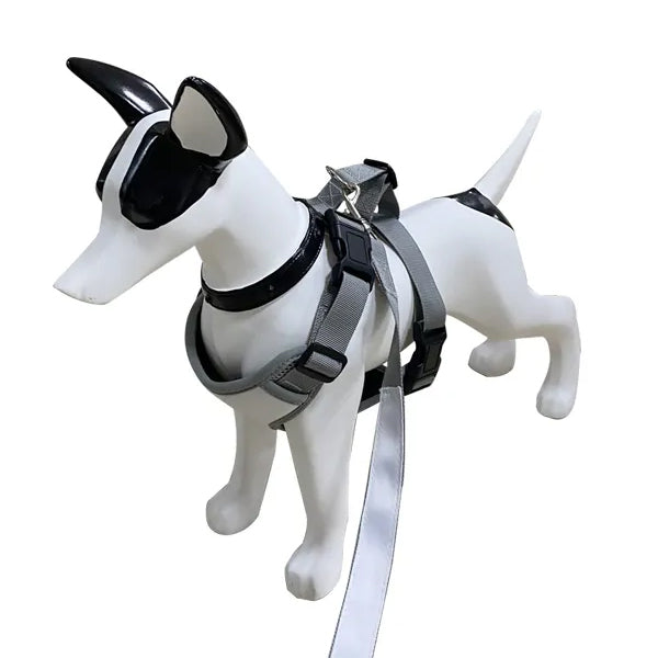 Pechera y Correa para mascota para sublimar (Tallas S-M-L)